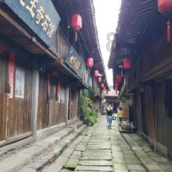 东莞市交通运输局:融湾入圈,今年拟完成交通基础设施投资260亿元